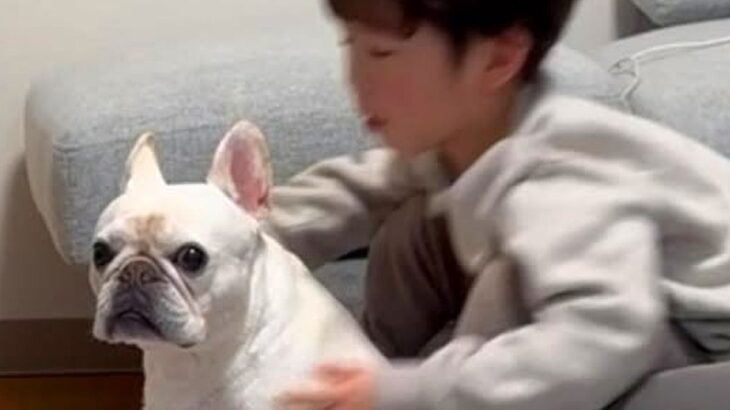 小さな男の子に『犬が他の犬にイジメられちゃった』と伝えた結果…イケメンすぎる『まさかの光景』が泣けると107万再生「最高の関係」と絶賛(ブログ)