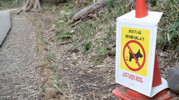 『迷惑な犬の飼い主』の特徴6つ　周りが大迷惑しているモラルのない人の共通点とは？(ブログ)