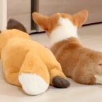 ぬいぐるみと一緒に床で寝そべる赤ちゃん犬を隠し撮り→後ろ姿が…想像以上だった『そっくりすぎる光景』に「短足クロスたまらん」「可愛い」の声(ブログ)