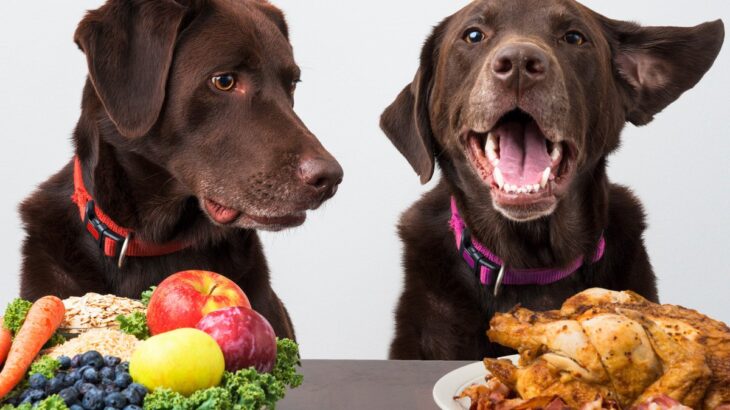 犬が過剰に接種すると危険な『栄養素』5選　食べすぎてしまった場合の悪影響とは？(ブログ)