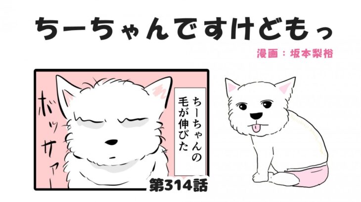 ちーちゃんですけどもっ【第314話】「毛を切ると」(ブログ)