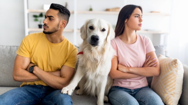 夫婦が離婚すると愛犬はどうなってしまうの？引き取り手を決めるための重要なポイントとは(ブログ)