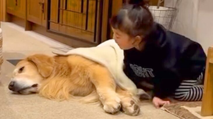 小さな女の子が、床で寝ている大型犬に近づいて…まるで『お母さんのような行動』が2万再生「思わず笑顔になった」「可愛くて優しい」と絶賛の声(ブログ)