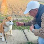 犬におやつを与えるおじいちゃん→ほんの少しよそ見をしたら…『コントでもしてるんか？』想定外の結末が445万再生「爆笑ｗ」「いいコンビ」(ブログ)