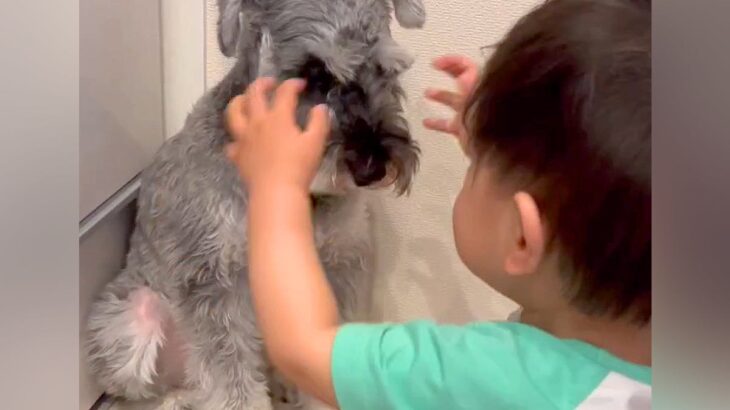 寝起きの小さな男の子が、雷に怯えている犬に…あまりにも尊い『まさかの行動』が40万再生「なんて優しい世界」「ふたりとも可愛い」と大反響(ブログ)