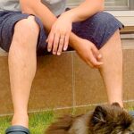 犬のために庭を作ったお父さん→披露した結果…なんとも切ない『まさかの光景』に20万いいね集まる「距離感とても良いｗ」「スンッて顔で草」(ブログ)