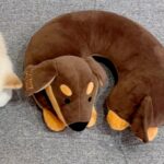 犬型のネックピローをゲット→犬が近くで寝ていると思ったら…まさかの『寄り添って真似をする光景』に4万いいね「ポーズが完璧すぎる」の声(ブログ)