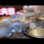 大失態www   2025 06 30 2(YouTube)