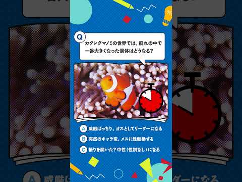 海遊館から生きものクイズ！【第5弾】(YouTube)