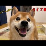 夜のライブ配信　2025年6月25日(YouTube)