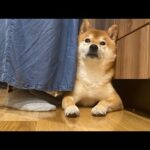 夜のライブ配信　2025年6月28日(YouTube)