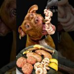 ピットブルの食欲がヤバすぎる#asmr(YouTube)