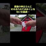 黒猫の神主さんにすすめられておみくじを引いた結果… #猫 #ネコ #cat(YouTube)