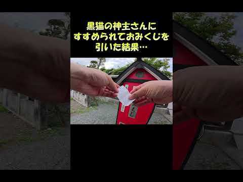 黒猫の神主さんにすすめられておみくじを引いた結果… #猫 #ネコ #cat(YouTube)