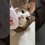これはギネス認定なのでは！？(YouTube)
