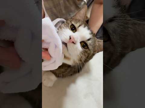 これはギネス認定なのでは！？(YouTube)