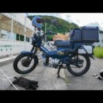 猫「帰さんぞ！」バイク前で謎の圧力をかけてくる猫たちが怖かわいいｗ(YouTube)
