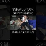 不審者にいち早く気付く母ゴールデンレトリバー(YouTube)