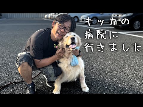 キッカの病院に行ってきました(YouTube)