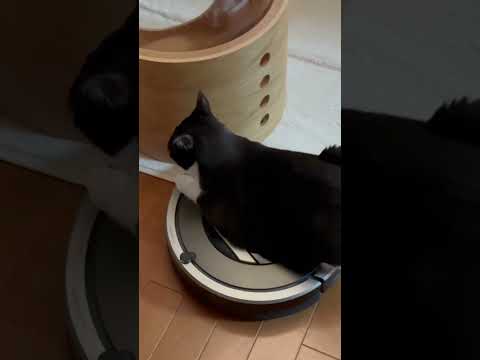 4.６kgはちょっと重い(YouTube)