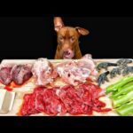 ごはん中に奇跡を起こすピットブルが面白すぎるw(YouTube)