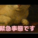 緊急事態です‼️(YouTube)