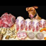 またもや苦手な食材登場!意外なアレを残すピットブルw(YouTube)