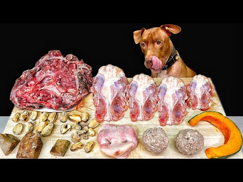 またもや苦手な食材登場!意外なアレを残すピットブルw(YouTube)