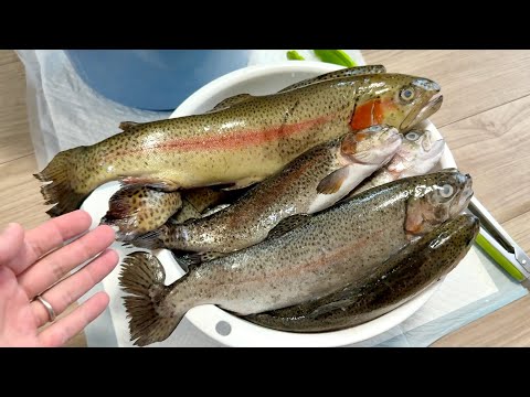 35kgの魚が届いたので我が家の巨大オオトカゲ達に食べさせてみた(YouTube)
