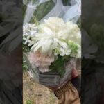 ありがとうございます(YouTube)