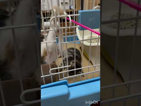 その時は突然やってきた(YouTube)