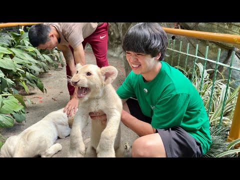 フィリピン最大級の動物園に行くと…日本では見れない固有種ばかりで大興奮でした(YouTube)