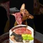 お肉屋さんからもらった黒毛和牛を豪快に食べるピットブル#咀嚼音(YouTube)
