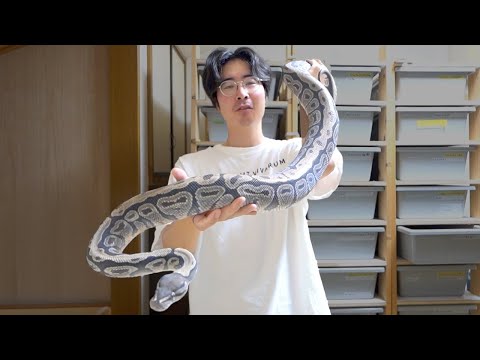 デカすぎる(YouTube)