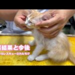 診察結果と今後　2025 06 28 2(YouTube)