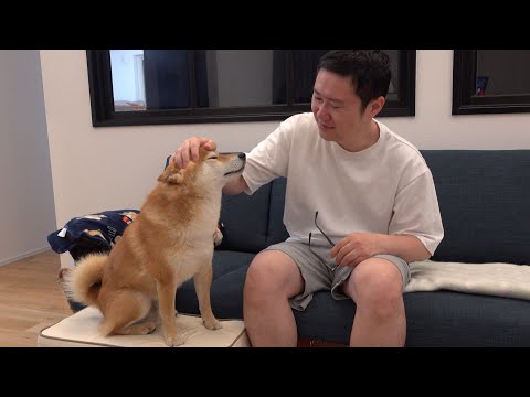 別れの時‥猫の卒業式を開くと柴犬はパパの異変に気づきました。(YouTube)