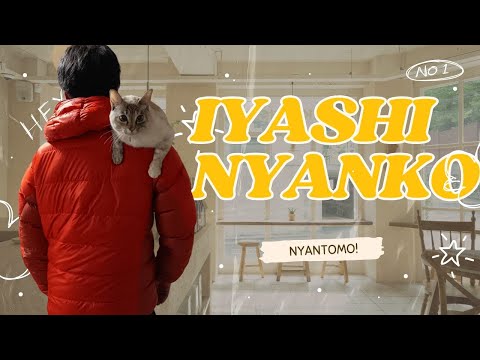 【猫動画】癒しの中の癒し！ニャンコズ〜にゃんともパレード〜#猫動画#猫#437(YouTube)