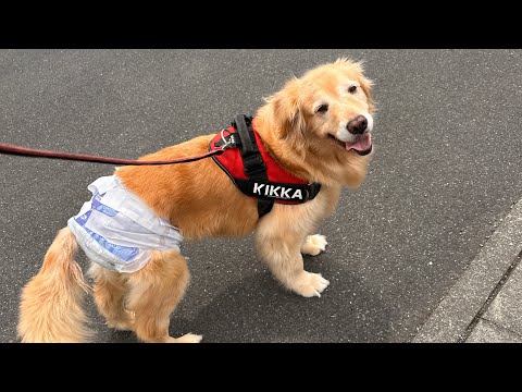 抗がん剤治療を勧められていますが…悩んでます(YouTube)