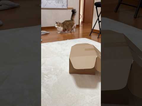 スルーすると見せかけて(YouTube)