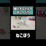 娘とたくさんお喋りする猫チロさん！ #shorts(YouTube)