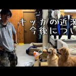キッカの近況と今後について(YouTube)