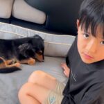 亡き愛犬に似た保護犬をお迎えしたら『愛犬じゃない』と息子が号泣…過去を乗り越えた『現在の光景』に反響「本当に優しいご家族」「絶対幸せ」(ブログ)