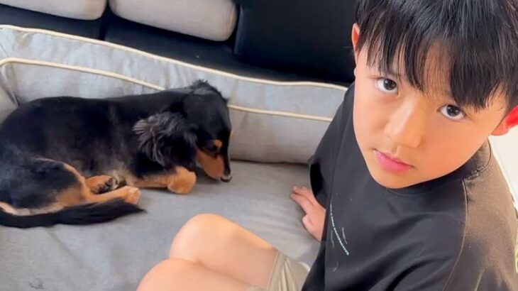 亡き愛犬に似た保護犬をお迎えしたら『愛犬じゃない』と息子が号泣…過去を乗り越えた『現在の光景』に反響「本当に優しいご家族」「絶対幸せ」(ブログ)
