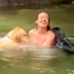 川に飛び込むパパ→心配した大型犬が…もはやありがた迷惑な『過干渉すぎる行動』が380万再生「めっちゃ愛されてるｗ」「お互い遊べないの草」(ブログ)
