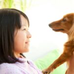 犬は人間の『笑顔や泣き顔』を見分けられる？飼い主の表情が与える愛犬への影響とは(ブログ)