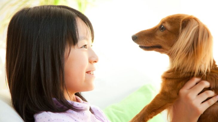 犬は人間の『笑顔や泣き顔』を見分けられる？飼い主の表情が与える愛犬への影響とは(ブログ)