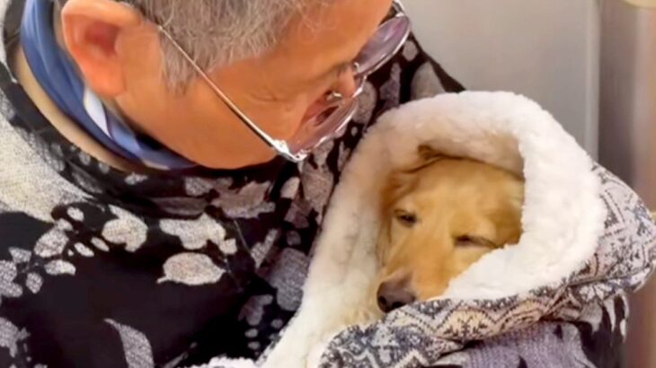おばあちゃんが犬を抱っこ→寝かしつけをして…あまりにも尊い『赤ちゃんのような光景』が56万再生「ほっこりした」「可愛いの渋滞」と反響(ブログ)