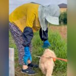 散歩中『大好きなお隣さんのおばちゃん』を見つけた犬→まるで恋人のように…尊すぎる『再会の瞬間』に反響「見ていて嬉しい」「喜び大爆発」(ブログ)