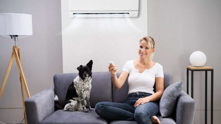 犬に絶対NGな『暑さ対策』5選　間違った対応で愛犬の命を脅かすことも(ブログ)