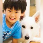 『男の子と大型犬の４年間』を記録…愛に溢れた『本当の兄弟のような光景』が泣けると反響「ジーンときた」「お互いの成長が刺激になる」の声(ブログ)